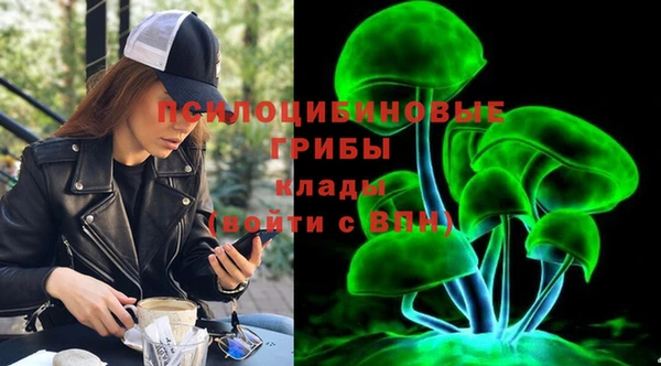 МДПВ Армянск